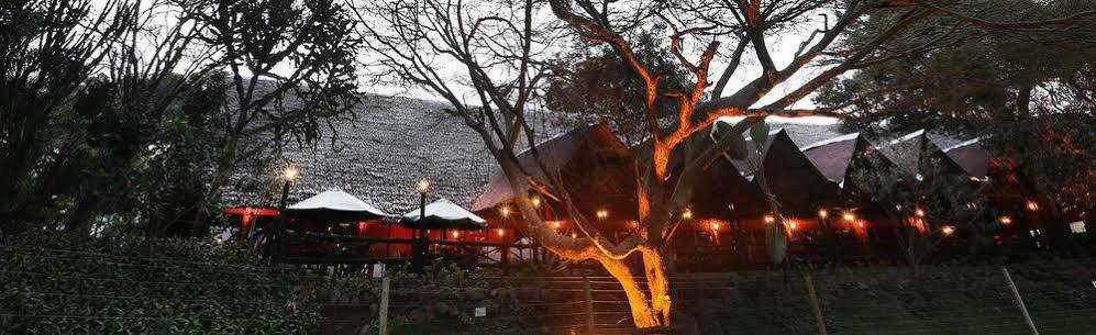 Mara River Lodge Aitong Eksteriør bilde